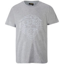 Kleidung Herren T-Shirts Ed Hardy - Tiger glow t-shirt mid-grey Grau