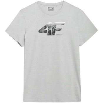Kleidung Herren T-Shirts 4F TSM024 Grau