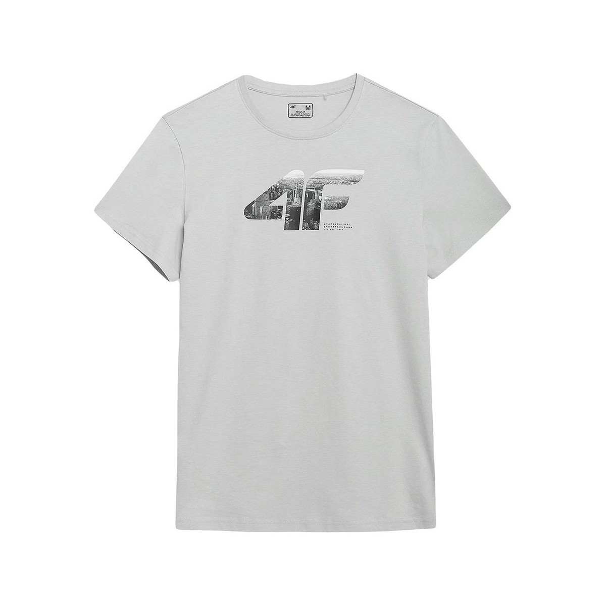 Kleidung Herren T-Shirts 4F TSM024 Grau