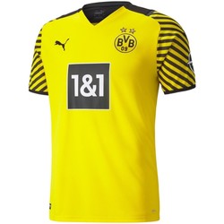 Kleidung Jungen T-Shirts & Poloshirts Puma Sport Borussia Dortmund Junior Heimtrikot 2021/22 759038-01 Gelb