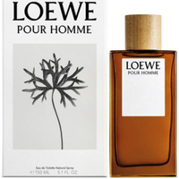 Beauty Herren Kölnisch Wasser Loewe Pour Homme - köln - 150ml - VERDAMPFER Pour Homme - cologne - 150ml - spray