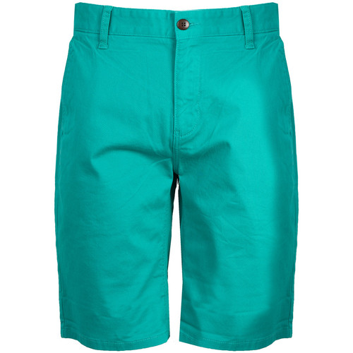 Kleidung Herren Shorts / Bermudas Tommy Hilfiger DM0DM05444 | TJM Essential Chino Shorts Grün