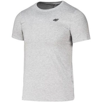 Kleidung Jungen T-Shirts 4F JTSM001B Grau