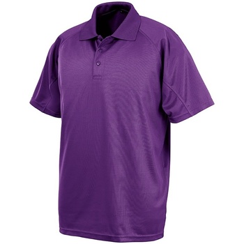 Kleidung Herren Polohemden Spiro S288X Violett