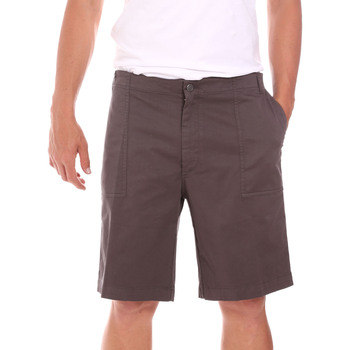 Kleidung Herren Shorts / Bermudas Colmar 0867T 8SP Braun