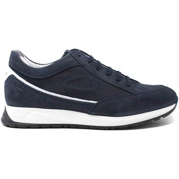 Schuhe Herren Sneaker Low Alberto Guardiani AGM006702 Blau
