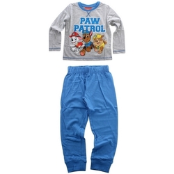 Kleidung Jungen Pyjamas/ Nachthemden Dessins Animés PAW 52 04 1264 Grau