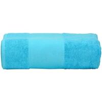 Home Handtuch und Waschlappen A&r Towels RW6037 Aqua Blau