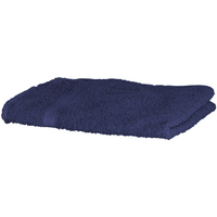 Home Handtuch und Waschlappen Towel City RW1576 Blau