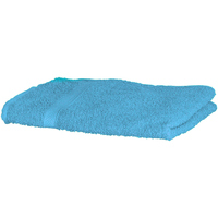 Home Handtuch und Waschlappen Towel City RW1576 Blau