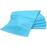 Home Handtuch und Waschlappen A&r Towels RW6038 Aqua Blau
