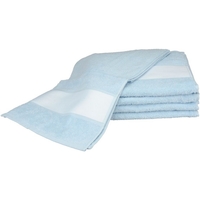 Home Handtuch und Waschlappen A&r Towels 30 cm x 140 cm RW6042 Hellblau