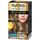 Beauty Damen Haarfärbung Syoss Oleo Intense Ammoniakfreie Haarfarbe Nr. 7,58 – Sandblond, 5 St 