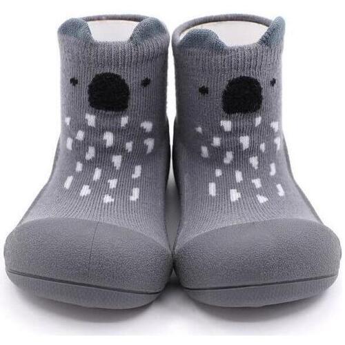 Schuhe Kinder Babyschuhe Attipas Endangered Animal Koala - Grey Grau