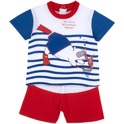 Kleidung Jungen Kleider & Outfits Chicco 09076627000000 Rot