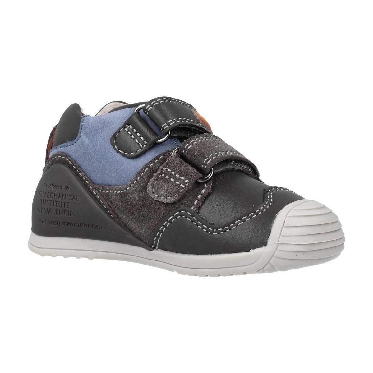 Schuhe Jungen Derby-Schuhe & Richelieu Biomecanics 211139 Grau