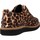 Schuhe Damen Derby-Schuhe & Richelieu Clarks GLICK DARBY Multicolor
