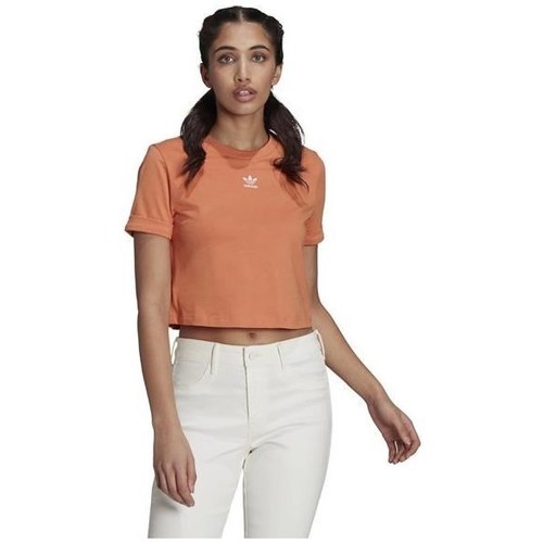 Kleidung Damen T-Shirts adidas Originals Adicolor Classics Orange