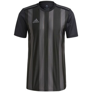 Kleidung Herren T-Shirts adidas Originals Striped 21 Grau, Schwarz