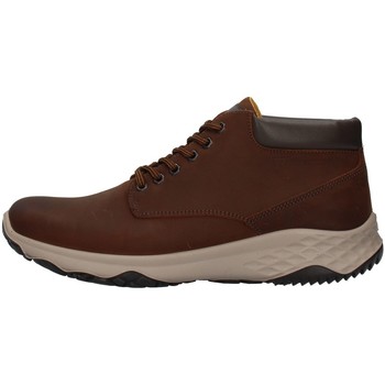 Schuhe Herren Sneaker Low IgI&CO 8119511 Braun