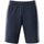 Kleidung Herren Shorts / Bermudas Schneider Sportswear Sport PRESTONM-SHORTS 6093 798 Blau
