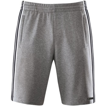 Kleidung Herren Shorts / Bermudas Schneider Sportswear Sport PRESTONM-SHORTS 6093 9017 grau