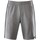 Kleidung Herren Shorts / Bermudas Schneider Sportswear Sport PRESTONM-SHORTS gr. 6093 9017 Grau