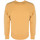 Kleidung Herren Sweatshirts Champion D918X6 Gelb