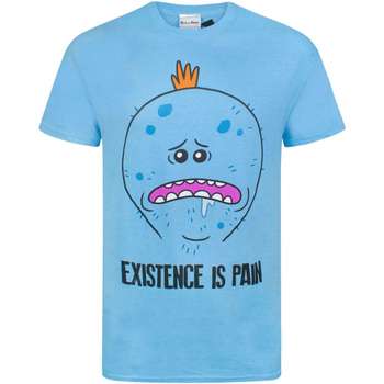 Kleidung Herren T-Shirts Rick And Morty  Blau