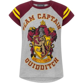 Kleidung Mädchen Langarmshirts Harry Potter  Multicolor