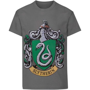 Kleidung Jungen T-Shirts Harry Potter  Grau