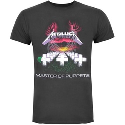 Kleidung Herren T-Shirts Amplified  Multicolor
