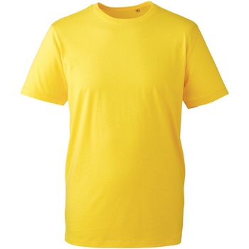 Kleidung Herren T-Shirts Anthem AM010 Multicolor