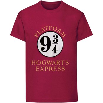 Kleidung Kinder T-Shirts Harry Potter  Multicolor