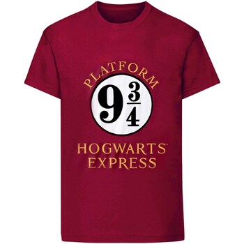 Kleidung Damen T-Shirts Harry Potter  Violett