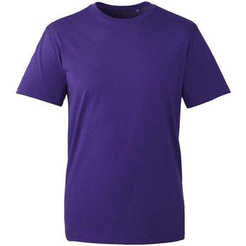 Kleidung Herren T-Shirts Anthem AM10 Violett