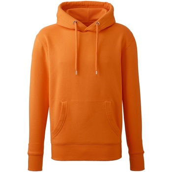 Kleidung Herren Sweatshirts Anthem AM01 Orange