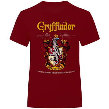 Kleidung T-Shirts & Poloshirts Harry Potter  Multicolor