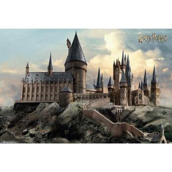 Home Plakate / Posters Harry Potter TA4015 Multicolor