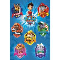 Home Plakate / Posters Paw Patrol TA7655 Multicolor