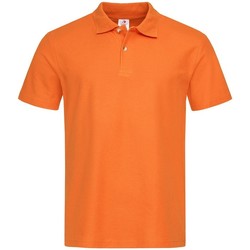 Kleidung Herren Polohemden Stedman  Orange