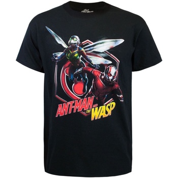 Kleidung Herren T-Shirts Ant-Man  Schwarz