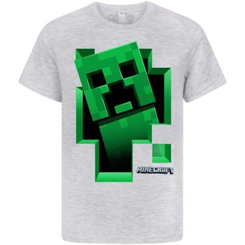 Kleidung Jungen T-Shirts Minecraft  Grau