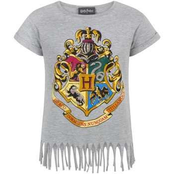 Kleidung Mädchen T-Shirts Harry Potter  Grau