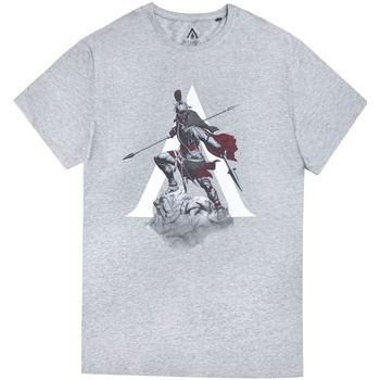 Kleidung Herren T-Shirts Assassins Creed Odyssey  Grau