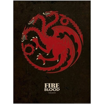 Home Plakate / Posters Game Of Thrones NS5975 Schwarz