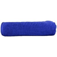 Home Handtuch und Waschlappen A&r Towels RW6536 Blau