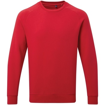 Kleidung Herren Sweatshirts Asquith & Fox AQ078 Rot