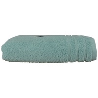 Home Handtuch und Waschlappen A&r Towels RW7281 Grün