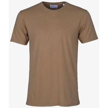 Kleidung T-Shirts Colorful Standard T-shirt  Sahara Camel Braun